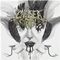 Chelsea Grin - Ashes to Ashes (Music CD)