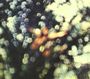 Pink Floyd - Obscured By Clouds (Discovery Version) (Music CD)