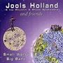 Jools Holland & His Rhythm n Blues Orchestra: Small World Big Band (Music CD)