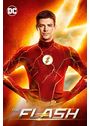 The Flash: Season 8 [DVD]