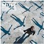 Muse - Absolution (Music CD)