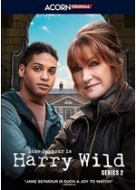 Harry Wild Series 2 [DVD]