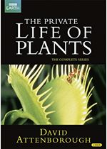 Private Life Of Plants