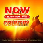 NOW That's What I Call Country (Music CD)