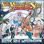 North Mississippi Allstars - Electric Blue Watermelon (Music CD)