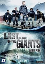 Last of the Giants (Wild Fish)