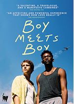 Boy Meets Boy (DVD)