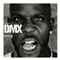 DMX - Best Of DMX, The (Music CD)