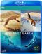 A Year on Planet Earth [Blu-ray]