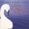 Various Artists - Blue Danube Waltz - Essential Strauss (Music CD)