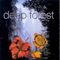 Deep Forest - Boheme (Music CD)