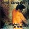 Bruce Springsteen - Ghost Of Tom Joad (Music CD)