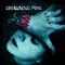 Drowning Pool - Sinner (2 CD) (Music CD)