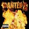 Pantera - Reinventing The Steel (Music CD)