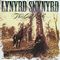 Lynyrd Skynyrd - The Last Rebel (Music CD)