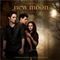Various Artists - New Moon (The Twilight Saga) (Music CD)