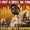 Screamin' Jay Hawkins - I Put A Spell On You (The Best Of Screamin' Jay Hawkins) (Music CD)