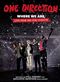 One Direction - Where We Are: Live From San Siro Stadium [DVD]