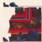 Grizzly Bear  - Painted Ruins (Music CD)