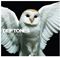 Deftones - Diamond Eyes (Music CD)