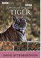 Wildlife Special - Tiger