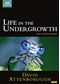 David Attenborough: Life in the Undergrowth - The Complete Seires (2005)