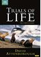 Trials Of Life