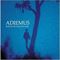 Adiemus - Songs Of Sanctuary (Music CD)