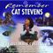 Cat Stevens - Remember Cat Stevens - The Ultimate Collection (Music CD)