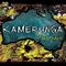 Kamerunga - Terra Australia (Music CD)