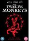 Twelve Monkeys [1995]