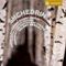 Shchedrin: (The) Enchanted Wanderer [SACD] (Music CD)