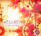 Various Artists - Wellbeing [Metro Select] (Music CD)