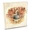Sonata Arctica - Stones Grow Her Name (Music CD)