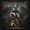 Cradle Of Filth - Hammer Of The Witches (Music CD)
