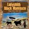 Ladysmith Black Mambazo - Songs From A Zulu Farm (Music CD)