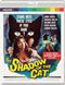 The Shadow of the Cat (Standard Edition) [Blu-ray]