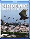 Birdemic Shock and Terror (Blu-ray)