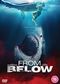 From Below [DVD] [2022]